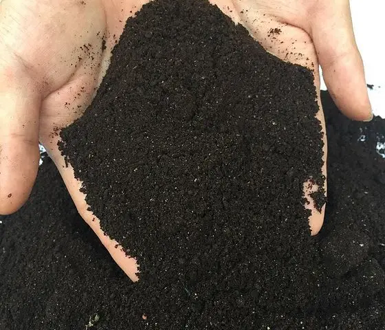 vermicompost