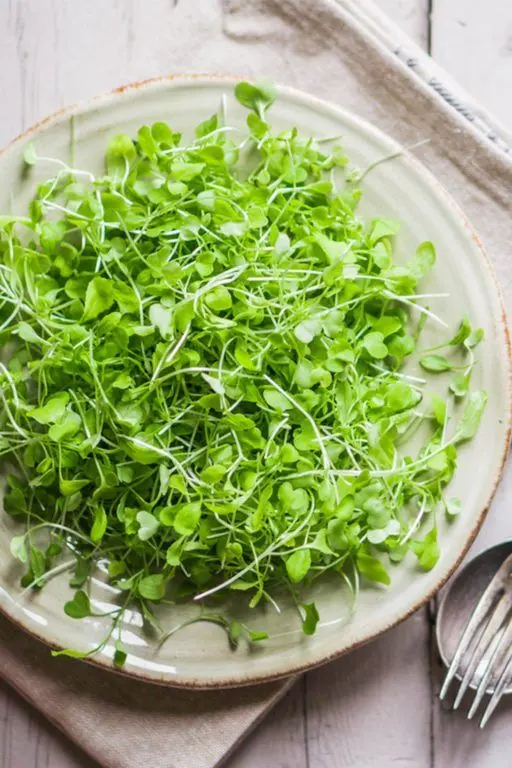 Microgreens
